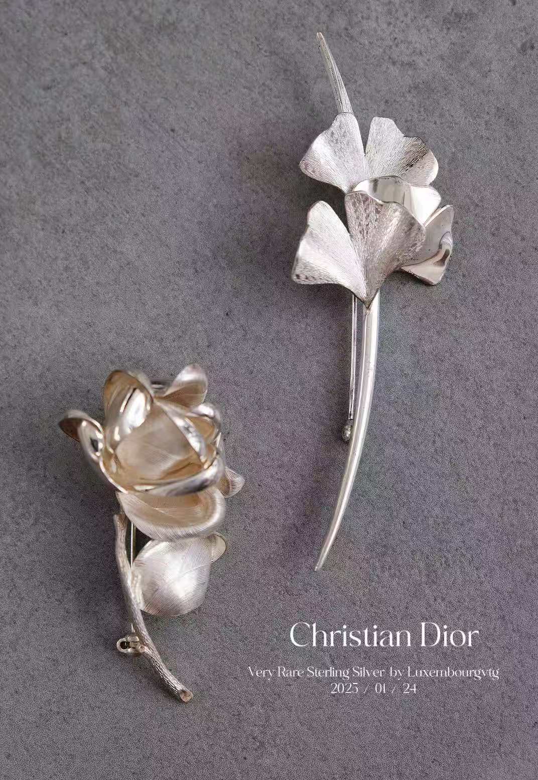 Christian Dior 1970s 925 Sterling Silver Ginko Branch Vintage Brooch